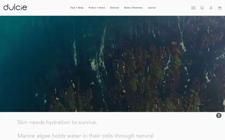 Screenshot of the Dulcie homepage